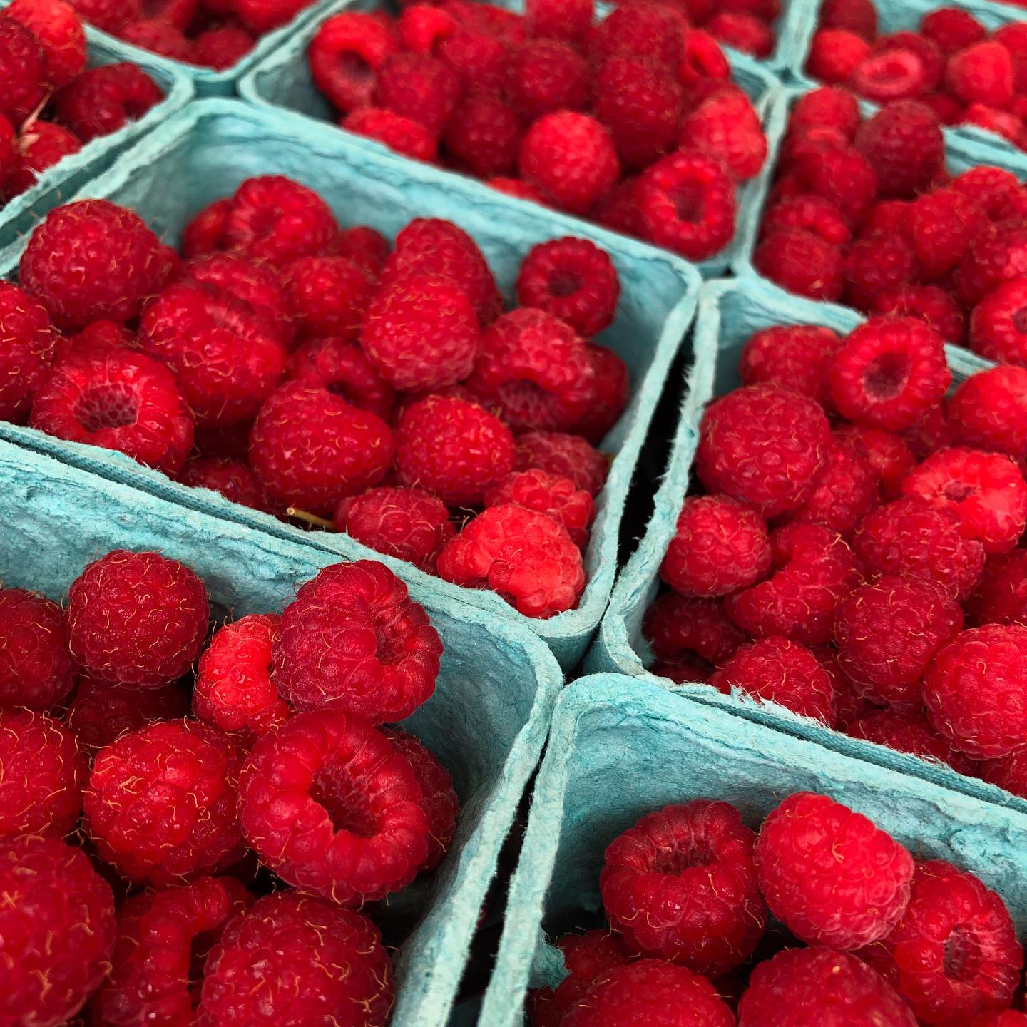 Arlington Farmers' Market From Farm to Table Arlington MA Life